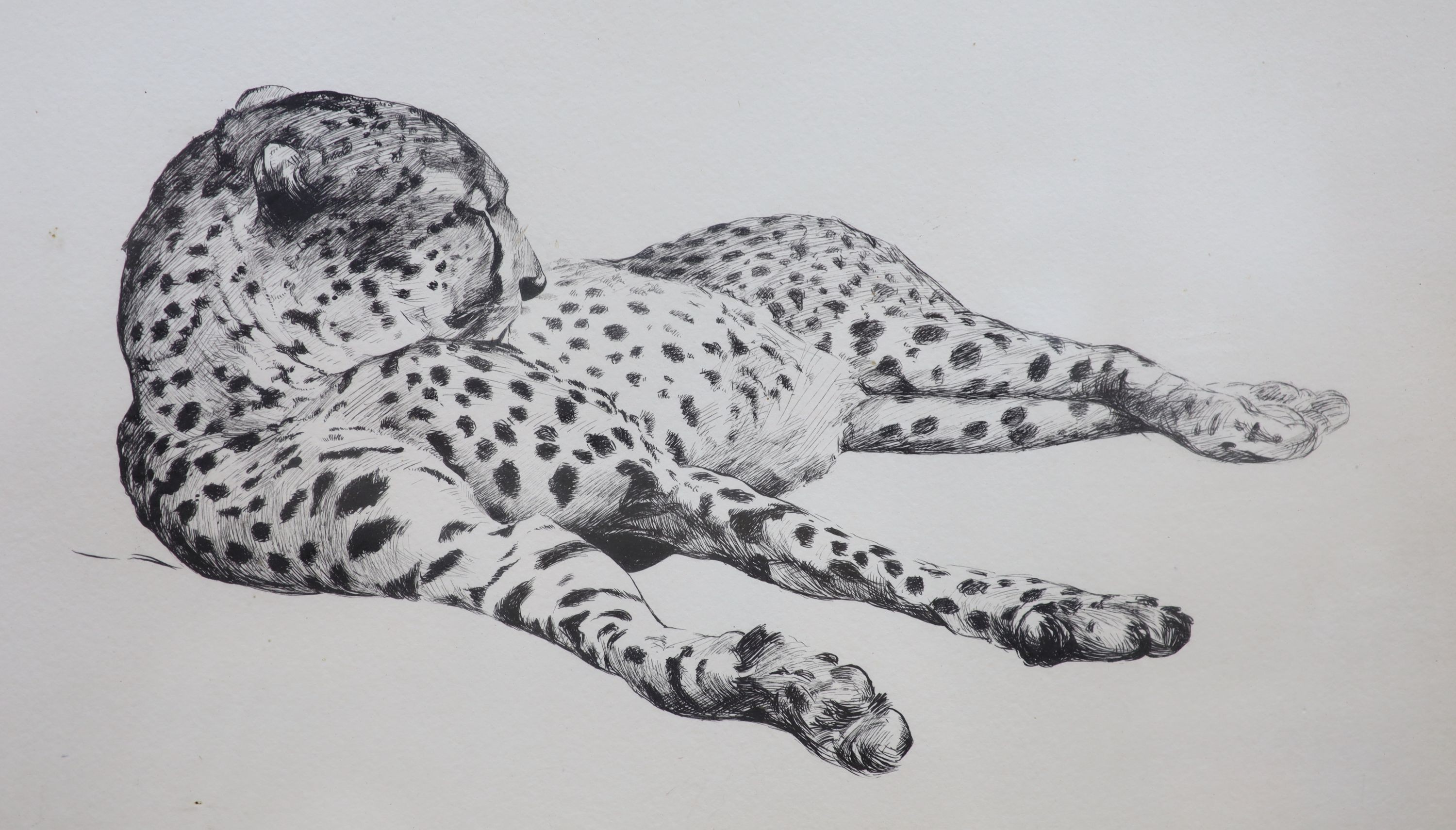 Bernard Partridge (1861-1945), pen and ink, Punch cartoon from 1928, 'Aix without pains', signed, 34 x 26cm and a print of a leopard, 26 x 43cm